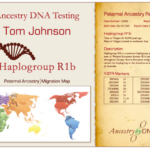 Certificato del test del DNA degli antenati della stirpe paterna