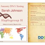 Un esempio di certificato del test del DNA degli antenati guardando il lignaggio materno